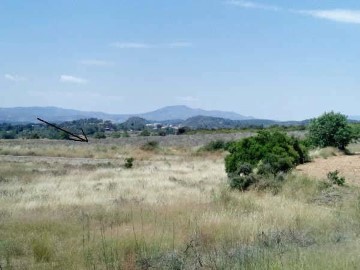 Terrenos en Huerto de la Rabasa