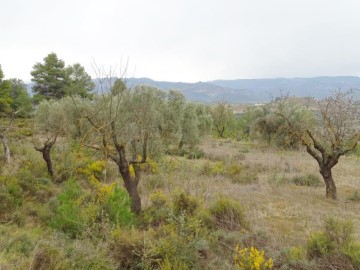 Casas rústicas en Lledó