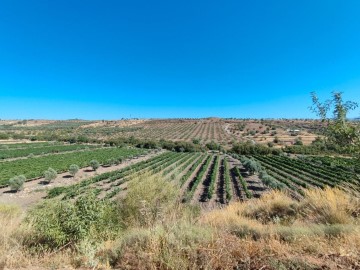 Terrenos en Huéneja