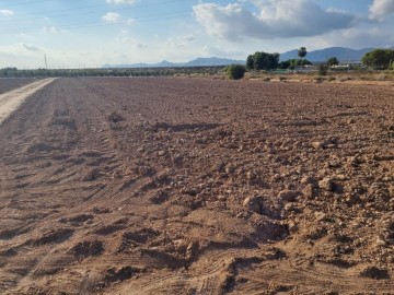 Terrenos en Rojales