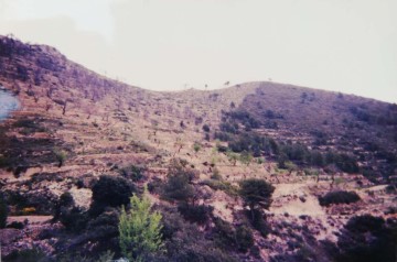 Terrenos en Torremanzanas / la Torre de les Maçanes