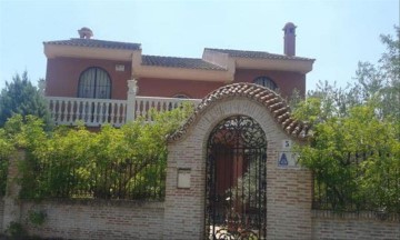 Casa o chalet 5 Habitaciones en Palomarejo