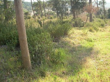 Terrenos en Vilanova del Vallès