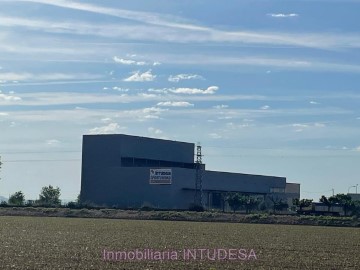 Bâtiment industriel / entrepôt à Griseras - Gardachales