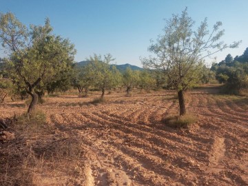 Terrenos en Monroyo