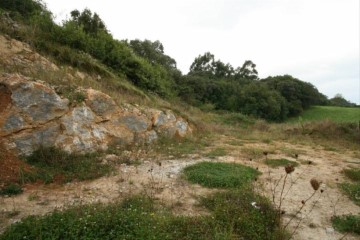 Terrenos en Pando