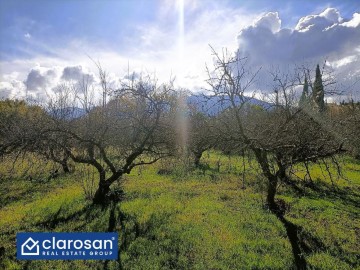 Quintas e casas rústicas em Alhaurín el Grande Centro