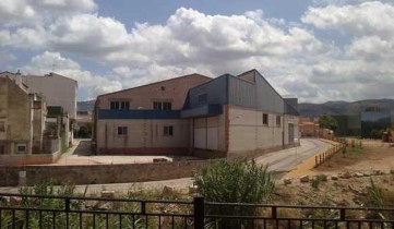 Bâtiment industriel / entrepôt à Casco Urbano