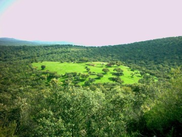 Terrenos en Ojuelos Bajos