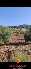 Casas rústicas en Alange