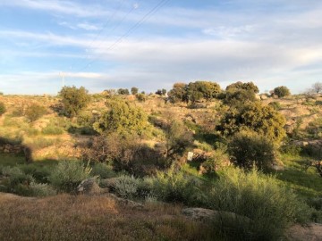 Casas rústicas en Aldea del Cano