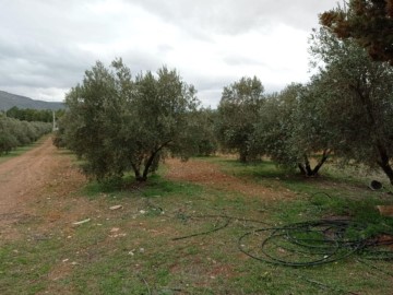 Casas rústicas en Valdepeñas