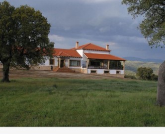 Country homes 6 Bedrooms in Solana del Pino