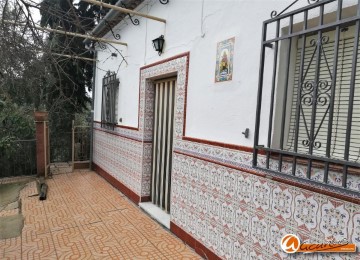 Casa o chalet 4 Habitaciones en El Albaicin
