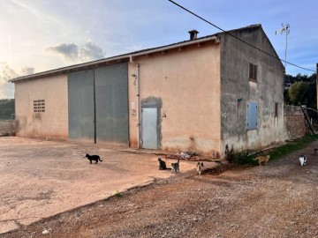 Maisons de campagne 1 Chambre à Llubí