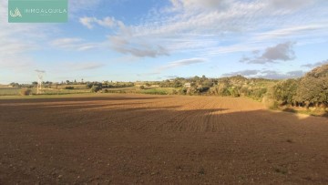 Casas rústicas en Llubí