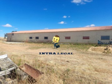 Bâtiment industriel / entrepôt à El Perdigón