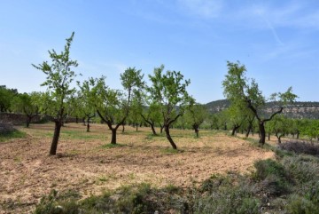 Casas rústicas en Ráfales