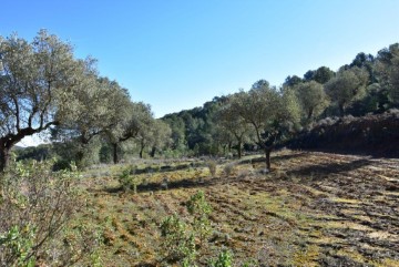 Casas rústicas en Arens de Lledó