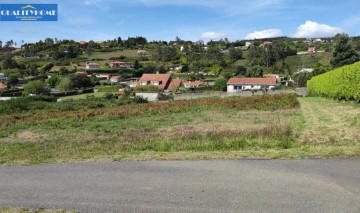 Land in Encrobas (San Román)