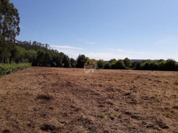 Terrenos en Os Casas (San Xoán)