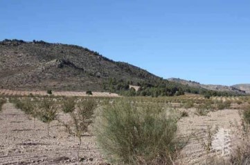 Terrenos en Puebla de Don Fadrique