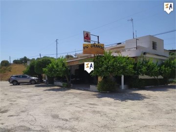 Commercial premises in Guaro