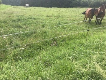 Terrenos en Ipiñaburu