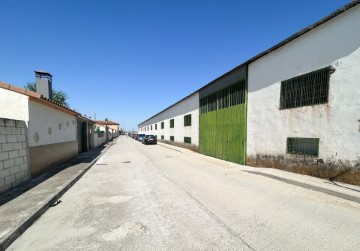 Industrial building / warehouse in Nuevo Borox