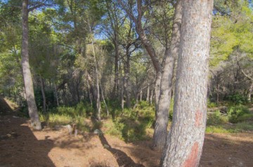 Terrenos en Cometa-Carrió