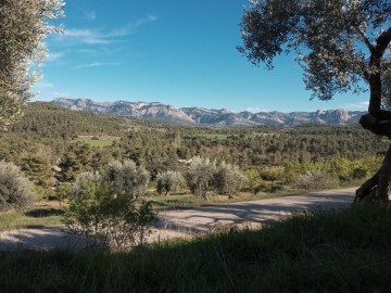 Land in Lledó