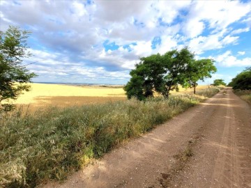 Terrenos en Tórtola de Henares