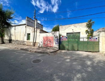 Terrenos en Carrascosa del Campo