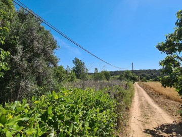 Terrenos en Sant Miquel de Fluvià