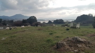 Terrenos en Argoños