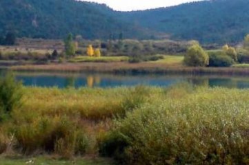 Terrenos en Palomera