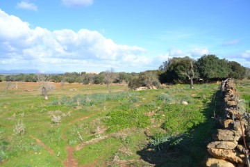 Casas rústicas en Manacor