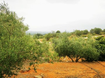 Terrenos en Anna