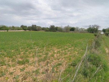 Casas rústicas en Ariany