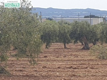 Country homes in La Torregassa