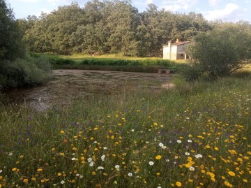 Terrenos en Jarandilla de la Vera