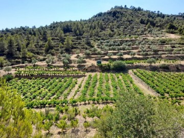 Country homes in La Palma d'Ebre