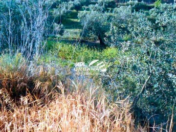 Terrenos en Priego de Córdoba