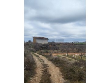 Casas rústicas en Montoliu de Lleida