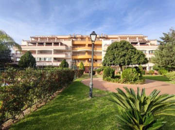 Apartment 1 Bedroom in Puente de Salia