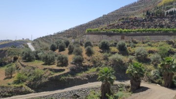 Casas rústicas en Torrox Pueblo