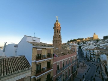 Terrenos en Antequera Centro