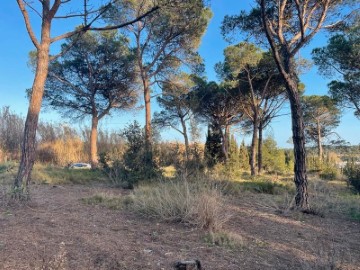 Terreno em Sant Genís de Palafolls