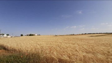 Terrenos en Mondéjar