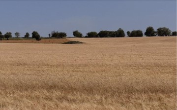 Terrenos en Mondéjar